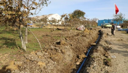 Ordu’da fındıkta verim için damlama sulama dönemi