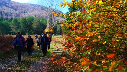 Sakarya’da doğa yürüyüşlerinde sonbahar coşkusu