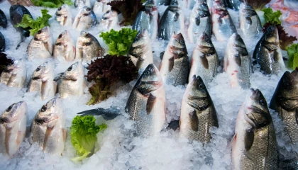 Su ürünleri ihracatının yüzde 47’si Ege’den yapıldı