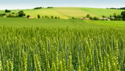 Tarım-ÜFE yıllık yüzde 45,40 arttı! Tek yıllık bitkisel ürünlerde sert fiyat artışı