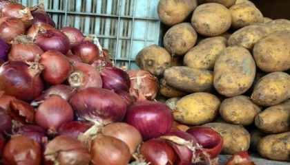 Ticaret Bakanlığı: Patates 25 lira değil