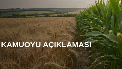 TMO’dan arpa ve mısır kontenjanlarıyla ilgili açıklama