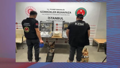 Zehir tacirlerine bir darbede Gümrük Muhafaza’dan! Binlerce kilo esrar ele geçirildi