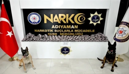 Adıyaman’da asayiş ve narkotik operasyonları: 55 şüpheli yakalandı, 9 tutuklama