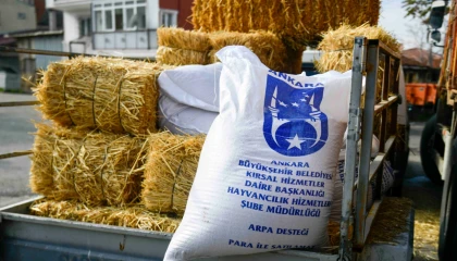 Ankara’da mandacılara yüzde yüz hibeli yem desteği