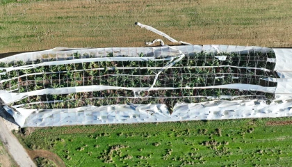 Antalya Büyükşehir’den hortum felaketinde çiftçiye destek