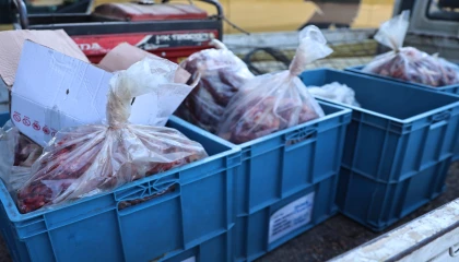 Antalya otogarında 270 kilo uygunsuz taşınan et bulundu