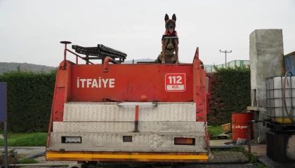 Balıkesir İtfaiyesi’nin yeni kahramanı: K9 köpeği İda