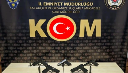 Bilecik’te kaçak silah operasyonu
