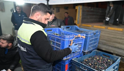 Bursa Gemlik Belediyesi’nden üreticiye destek