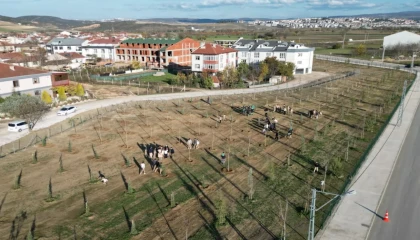 Bursa İnegöl’de 572 fidanlı koruluk Akhisar’a nefes oldu