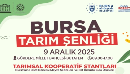 Bursa’nın lezzetleri gün yüzüne çıkıyor