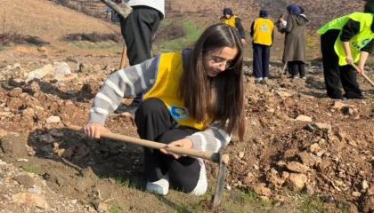 Gürsu’da yanan ormanlar yeniden yeşeriyor... 15 bin fidan toprakla buluştu