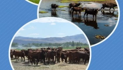 Halk elinde ıslaha 2,7 milyar TL destek