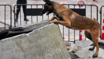 İstanbul Maltepe’nin Zeyna’sı artık ekibin bir parçası