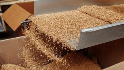 İşte ekonomideki yabancı pay! Yabancı kontrollü girişimde Almanya lider