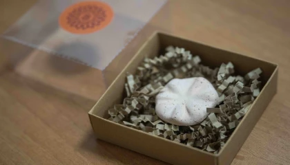 İzmir Bornova’nın 8 bin 500 yıllık hafızası gün yüzünde