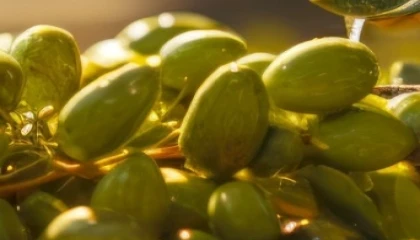 İzmir Kooperatifçilik Buluşmaları 19 Aralık’ta