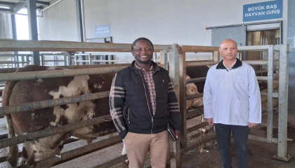 Kocaeli Büyükşehir mezbahasına örnek tesis vurgusu