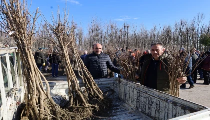 Kocaeli’de üreticilere yüzde 50 hibeli fidan dağıtımına devam