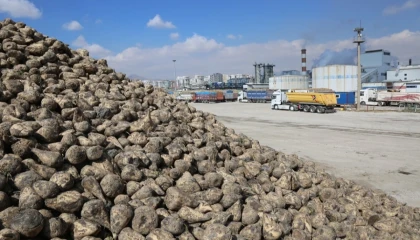 Konya Pancar Ekicileri bu yıl verimden memnun