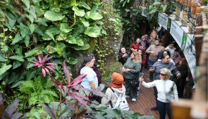 Konya Selçuklu’da Şeb-i Arus yoğunluğu