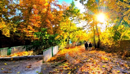 Mardin Yeşilli’de sonbahar büyüsü (Özel Haber)