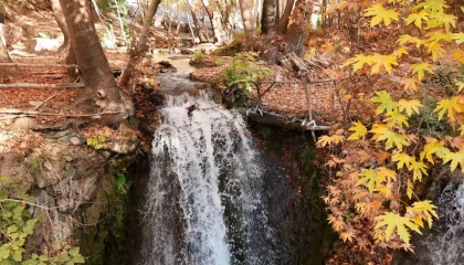 Mardin’in gizli cenneti renk cümbüşüne döndü