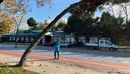 Ordu’da tehlike arz eden ağaçlar için güvenlik çalışması