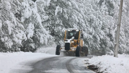 Sakarya’da kar alarmı