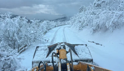 Sakarya’da karla mücadele: 31 yol açıldı