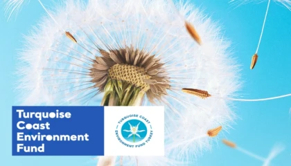 TCEF 2026 Hibe Programı’nda Türkiye’nin güney ve batı kıyılarına destek... Son başvuru 25 Ocak