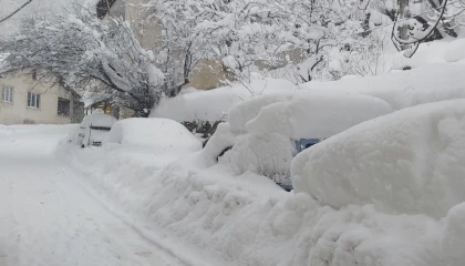 AFAD’dan Doğu ve Batı Karadeniz ile Doğu Anadolu’ya çığ uyarısı!