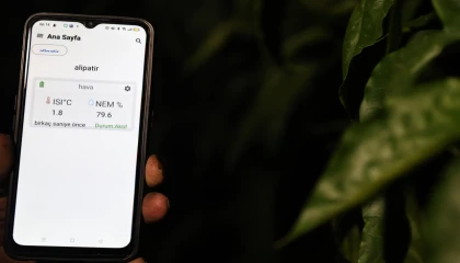 Antalya’da sera üreticisinin don nöbeti tarih oldu