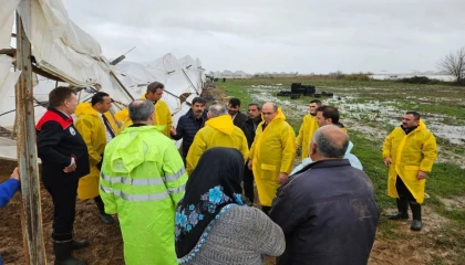 Antalya’daki seralarda hasar tespit için Bakanlık devrede