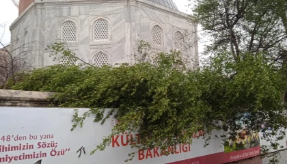 Ayasofya Camii’nde minare alem düştü! Bahçedeki ağaç kontrol altında