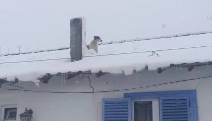 Bilecik Pazaryeri’nde kar altında kurtarma operasyonu