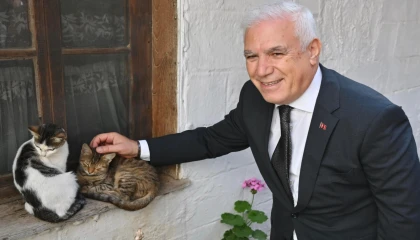 Bursa Büyükşehir patili dostların yanında