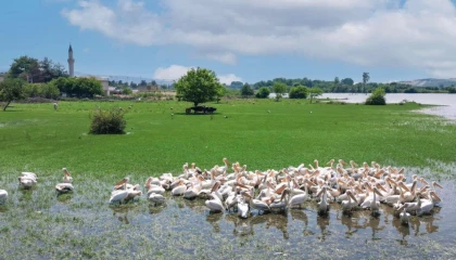 Bursa İnegöl Hamzabey’de doğa ile tarih buluşuyor