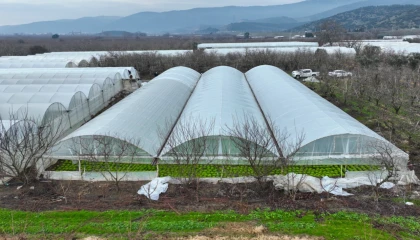 Bursa’da lodoszede seralara Büyükşehir desteği