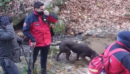 Büyükşehir Belediyesi Elif için seferber oldu