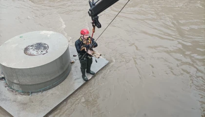 Derede köpek kurtarma operasyonu