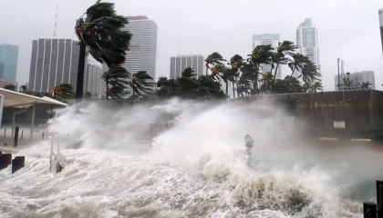 Doğal afetler sigorta sektörünü zorluyor... Küresel ekonomik kayıplar 260 milyar dolar oldu