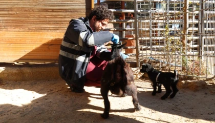 Doğal Yaşam Parkı’nda soğuk alarmı