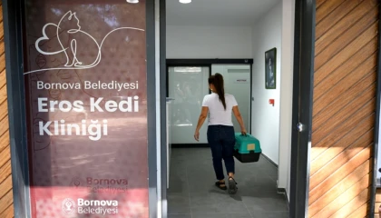 Eros Kedi Kliniği Bornova’da umut oldu
