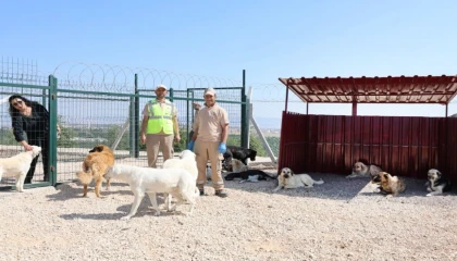 Eskişehir’de doğaya ve can dostlara tam destek