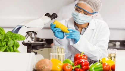 Gıda katkı maddelerine yeni düzenleme... İşletmelere 1 Mart’a kadar uyum süresi