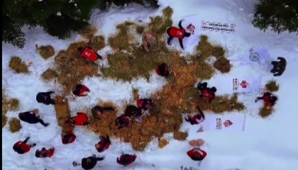 Ilgaz Dağı’na yüzlerce kilo yem bırakıldı