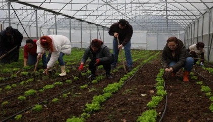 Kadın ve gençler tarıma kazandırılıyor