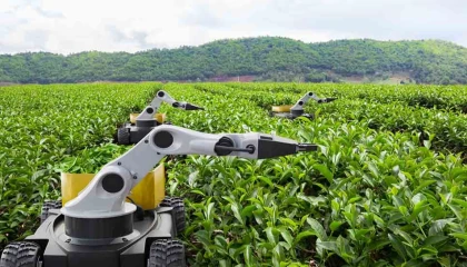 Kamu Teknoloji Platformu 2026’yı ’Kamusal Zekâ Yılı’ ilan etti... Kamuda ’metal yaka’ dönemi başlıyor
